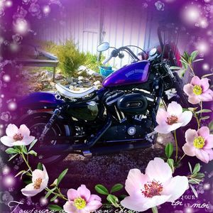 Meet your Posher, Tamera